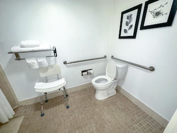 Room, 1 King Bed, Accessible