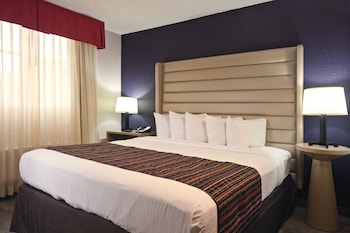 Studio Suite, 1 King Bed