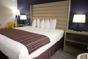 Room, 1 King Bed