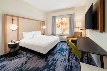 Room, 1 King Bed, Roll-in Shower