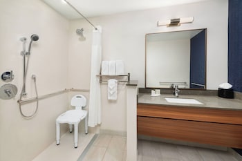 Room, 1 King Bed, Roll-in Shower