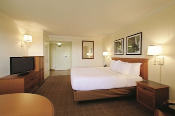 Suite, 1 King Bed, Non Smoking (1 Bedroom)