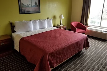 Room, 1 King Bed, Non Smoking