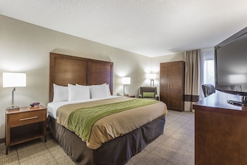 Standard Room, 1 King Bed, Non Smoking