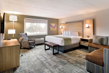 Deluxe Room, 1 King Bed