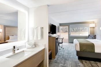 Room, 1 King Bed (Down/Out)
