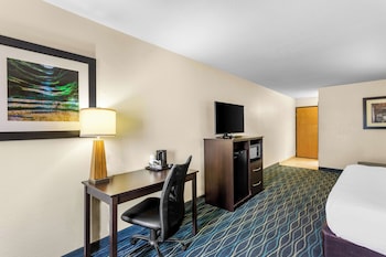 Standard Room, 1 King Bed, Non Smoking, Refrigerator & Microwave (Larger Room)