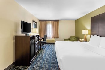 Standard Room, 1 King Bed, Accessible, Non Smoking