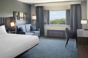 Traditional Room, 1 King Bed (Mobility/Hearing Accessible, Tub)