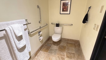 Room, 1 King Bed, Accessible (Vista)