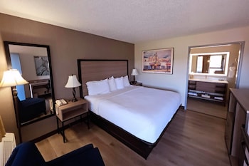 Room, 1 King Bed, Bathtub Grab Bars, Non Smoking (Mobility Accessible)