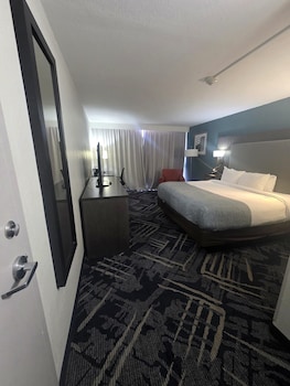 Room, 1 King Bed, Non Smoking