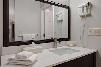 Room, 1 Queen Bed