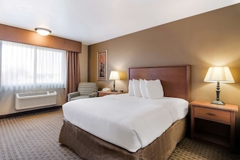 Room, 1 Queen Bed