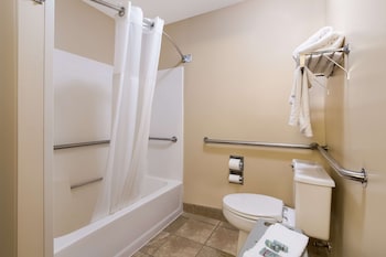 Room, 1 Queen Bed, Accessible