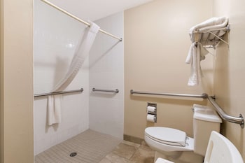 Room, 1 Queen Bed, Accessible