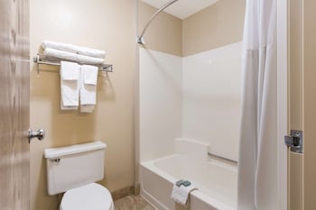 Room, 1 King Bed
