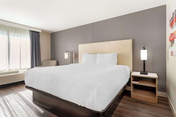 Standard Room, 1 King Bed, Non Smoking, Refrigerator & Microwave