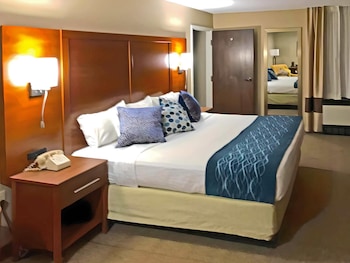 Standard Room, 1 King Bed, Non Smoking