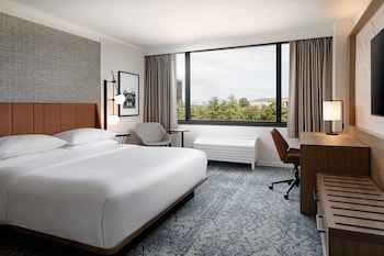 Room, 1 King Bed (Mobility Accessible, Tub)