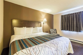 Room, 1 King Bed, Non Smoking