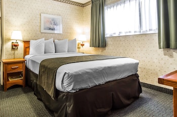 Suite, 1 Queen Bed, Non Smoking