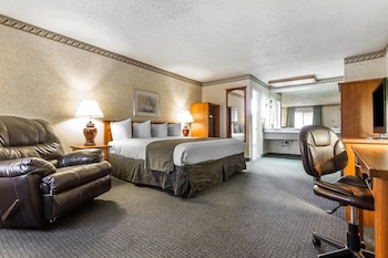 Standard Room, 1 King Bed, Non Smoking