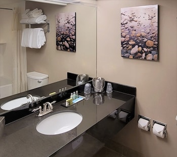 Standard Room, 1 King Bed, Non Smoking (Living Room;Shower Only;with Sofabed)