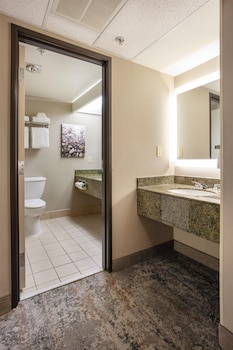 Standard Room, 1 King Bed, Refrigerator & Microwave, River View