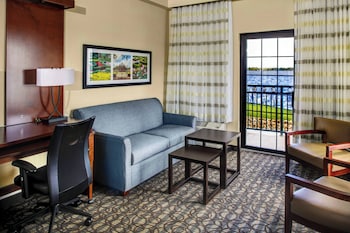Room, 1 King Bed with Sofa bed
