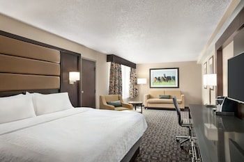 Suite, 1 King Bed