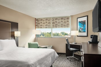 Standard Room, 1 King Bed