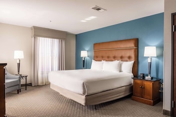 Suite, 1 King Bed with Sofa bed, Accessible (Sofa Sleeper, Roll-in Shower, 2 Rooms)