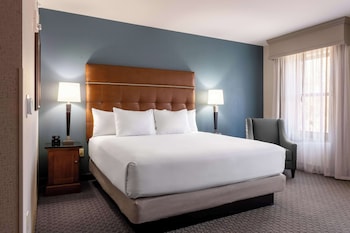 Room, 1 King Bed, Accessible (Roll in Shower)