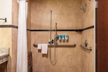 Room, 1 King Bed, Accessible (Roll in Shower)