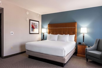 Room, 1 King Bed, Accessible (Roll in Shower)