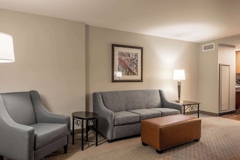 Suite, 1 King Bed with Sofa bed, Accessible (Sofa Sleeper, Roll-in Shower, 2 Rooms)