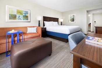 Room, 1 King Bed, Accessible, Non Smoking