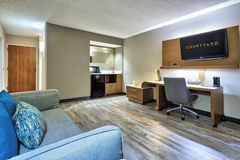 Executive Suite, 1 Bedroom