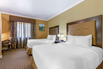 Basic Double Room