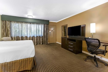 Basic Single Room