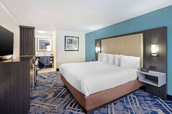 Standard Room, 1 King Bed, Non Smoking, Refrigerator (Shower Only)