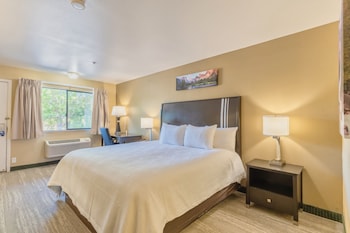 Standard Room, 1 King Bed, Accessible, Non Smoking