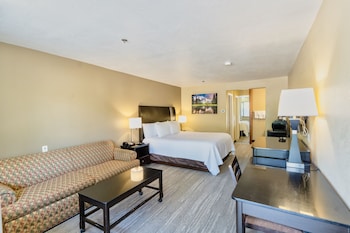 Business Room, 1 King Bed, Non Smoking