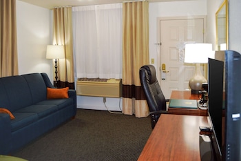 Room, 1 King Bed with Sofa bed, Non Smoking (2 person Sofa bed)
