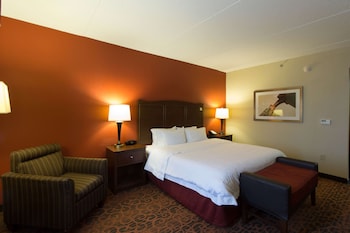 Room, 1 King Bed, Accessible, Bathtub