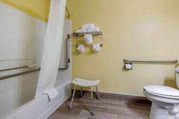 Room, 1 King Bed, Accessible, Non Smoking