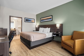 Room, 1 King Bed, Accessible, Non Smoking