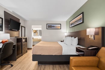 Standard Room, 1 King Bed, Non Smoking