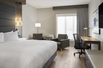 Executive Room, 1 King Bed, Non Smoking, Refrigerator & Microwave
